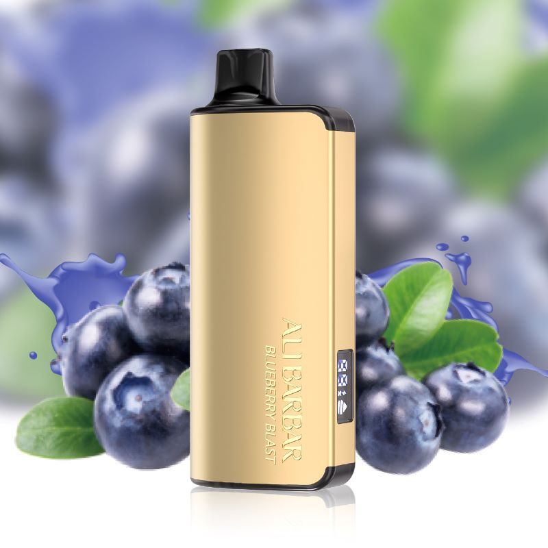 Blueberry Blast Alibarbar Ingot 9000 Puffs Disposable Vape